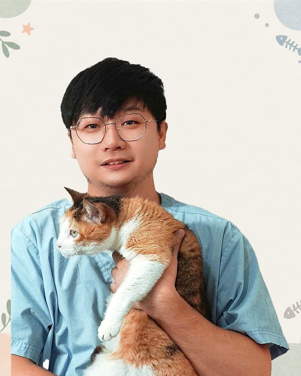 蔡文軒