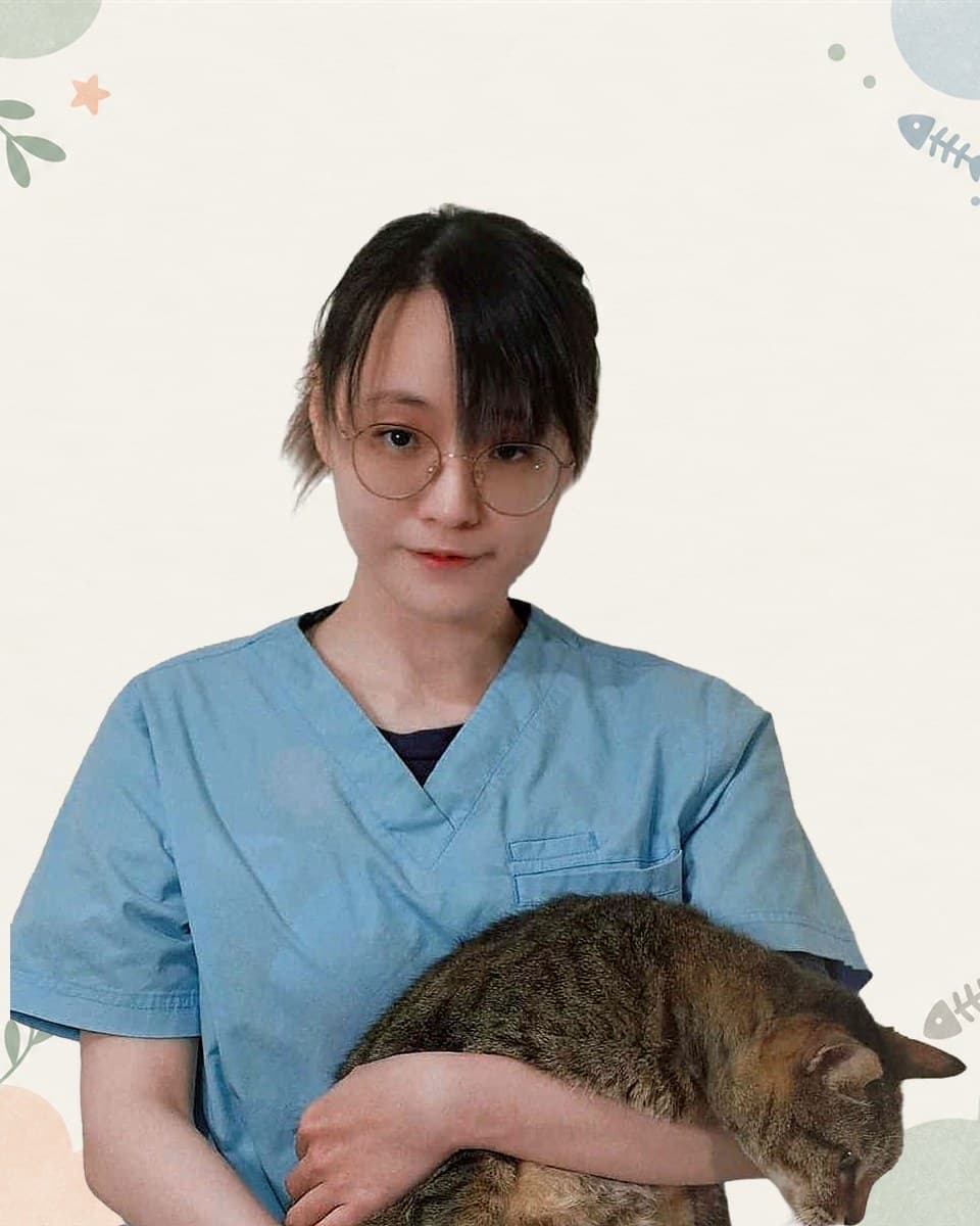謝承芳