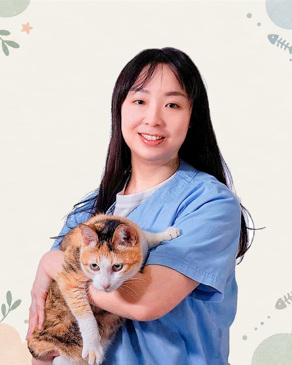 林珈伊