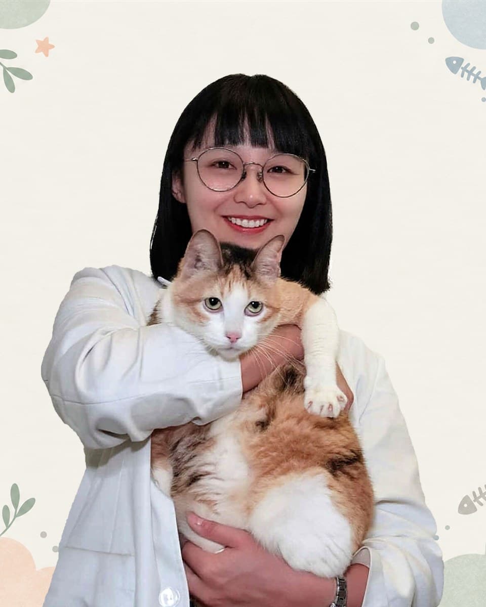 安芝萱